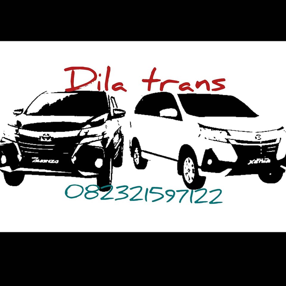 dillatrans & tour travel
